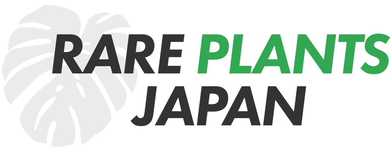 全植物一覧 – RARE PLANTS JAPAN (レアプランツジャパン)
