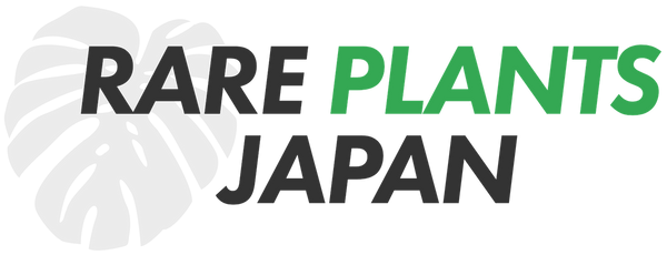 RARE PLANTS JAPAN (レアプランツジャパン)