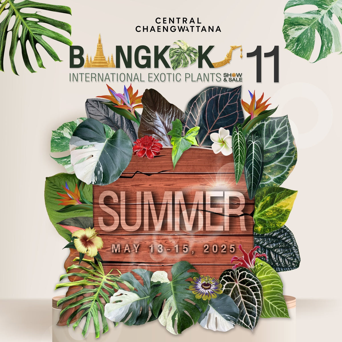 【2025年5月】タイの国際植物イベント『BANGKOK INTERNATIONAL EXOTIC PLANTS SHOW&SALE 11 SUMMER』にRARE PLANTS JAPAN(レアプランツジャパン)が出展