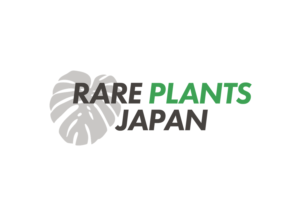 【重要】RARE PLANTS JAPANからお客様へのお知らせ