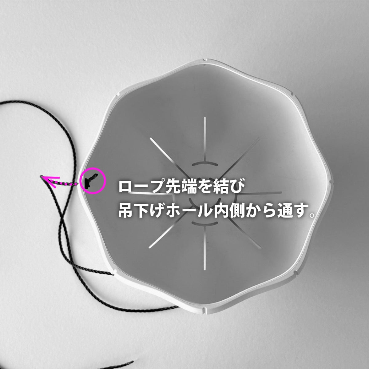 Sen Ropes（吊し紐）