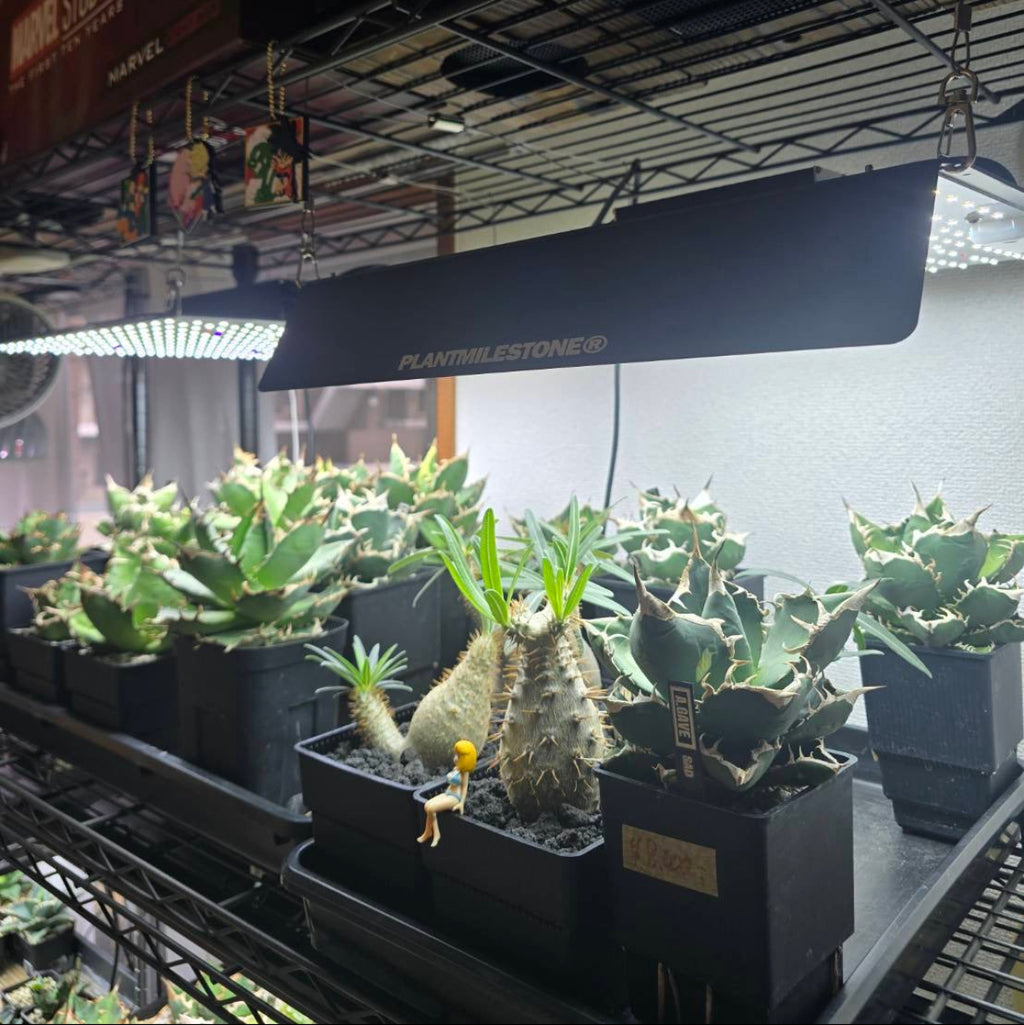 【PLANT MILE STONE】パネルライトNEO 100W【植物育成ライト】35cm×35cm
