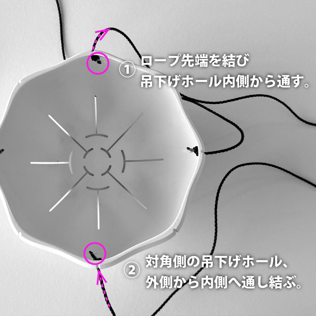 Sen Ropes（吊し紐）
