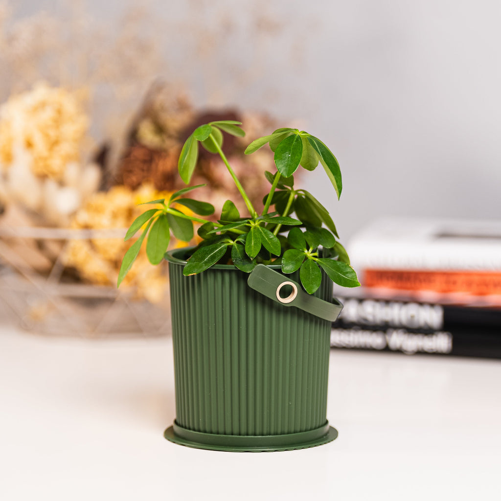 GARDEN TOOL BUCKET（ガーデンツールバケット）