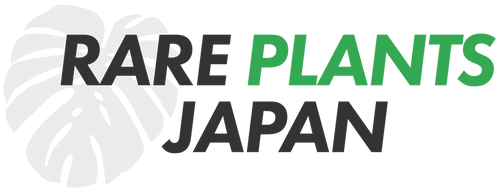 全植物一覧 – RARE PLANTS JAPAN (レアプランツジャパン)