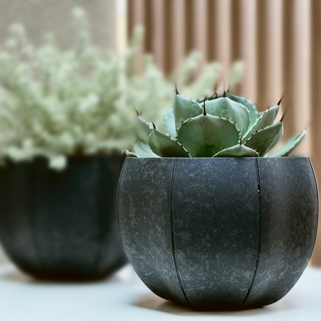 Sen Roly Pots （セン　ローリーポット　丸）